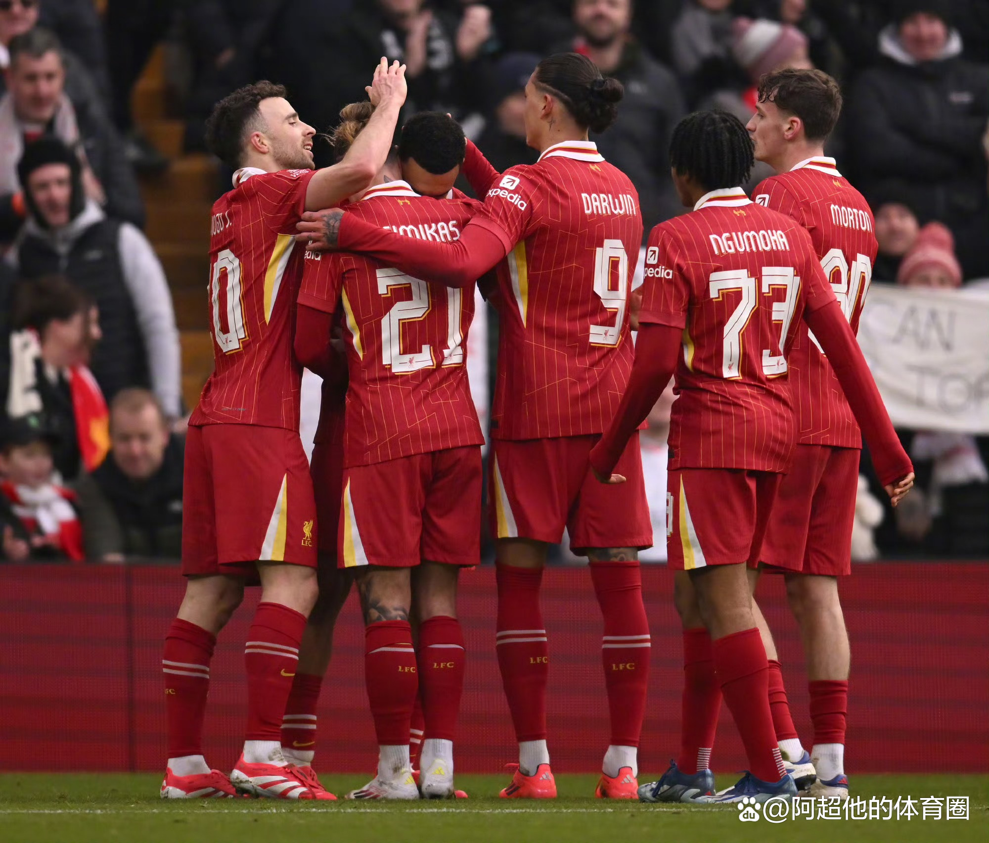 Leyu-豪门冠军足球