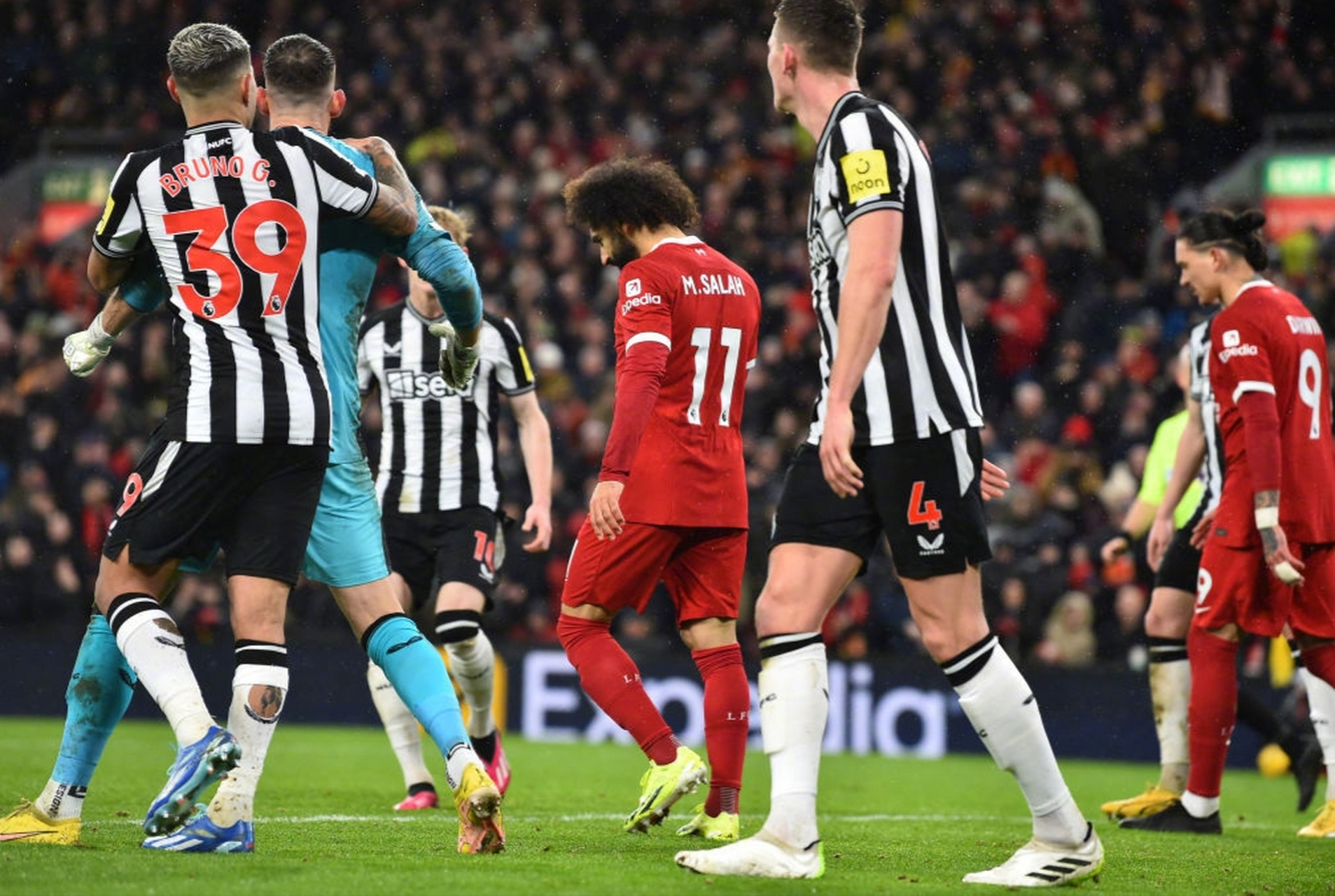 乐鱼-包含利物浦中场选手受伤，球队雪上加霜的词条